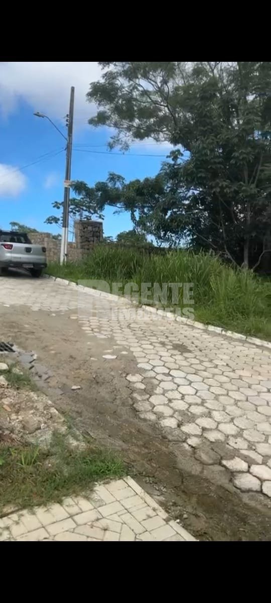 Terreno no Córrego Grande em Florianópolis - Foto 4