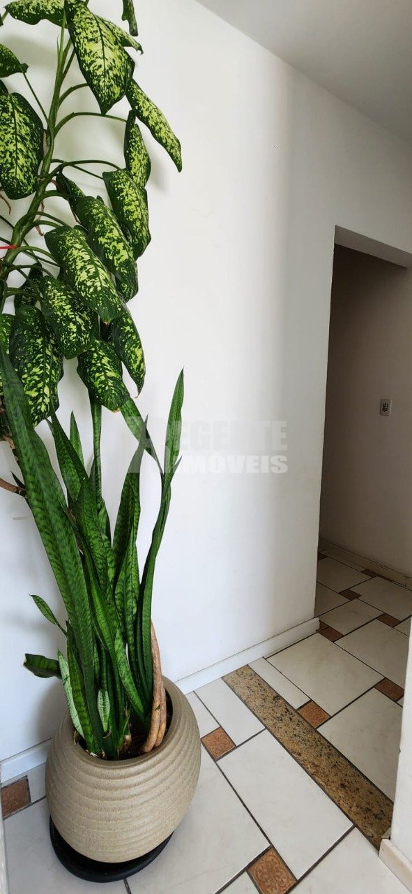 Casa no Agronômica em Florianópolis - Foto 52