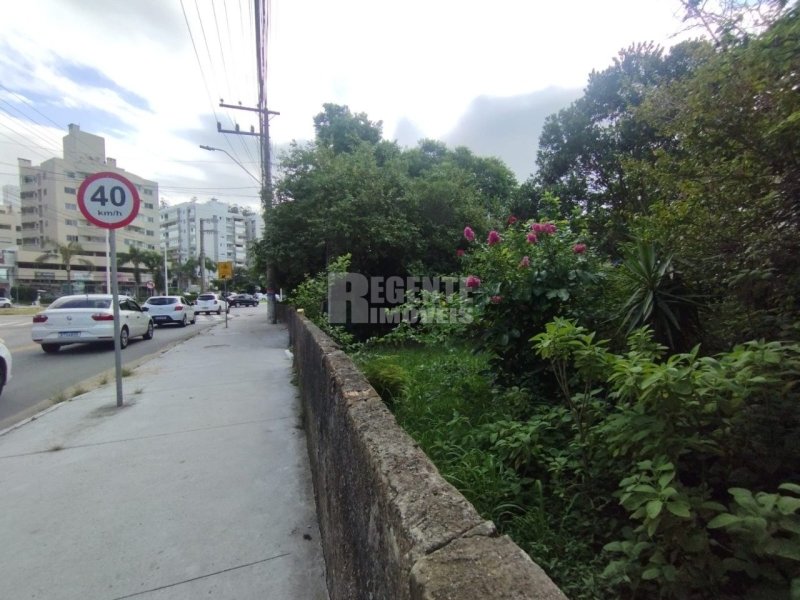 Terreno no Córrego Grande em Florianópolis - Foto 8