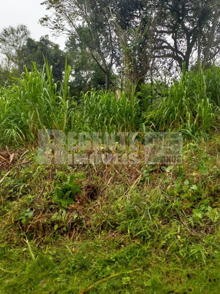 Terreno no Pantanal em Florianópolis - Foto 3