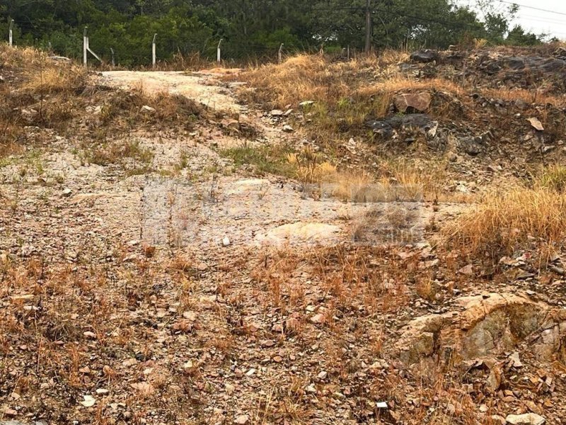 Terreno no João Paulo em Florianópolis - Foto 2