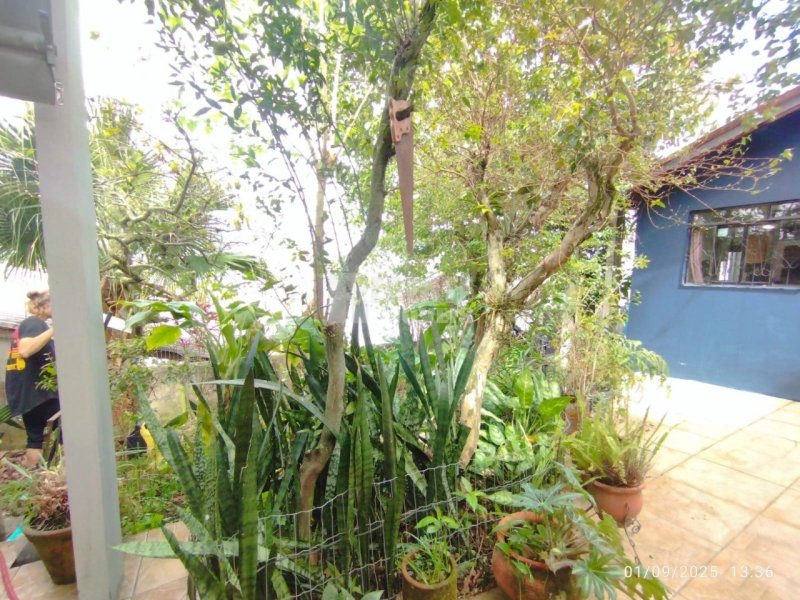 Casa 3 quartos no Trindade em Florianópolis - Foto 14