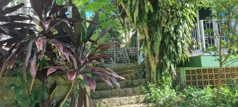 Terreno no Trindade em Florianópolis - Foto 7