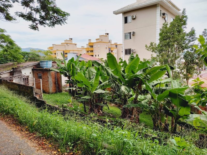 Terreno no Saco Grande em Florianópolis - Foto 4