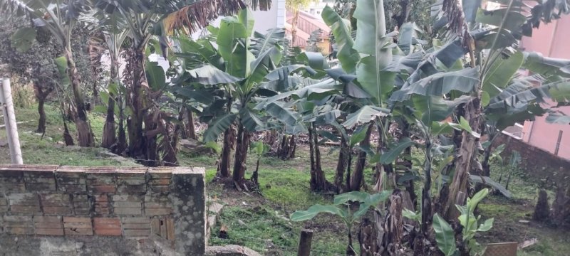 Terreno no Saco Grande em Florianópolis - Foto 2