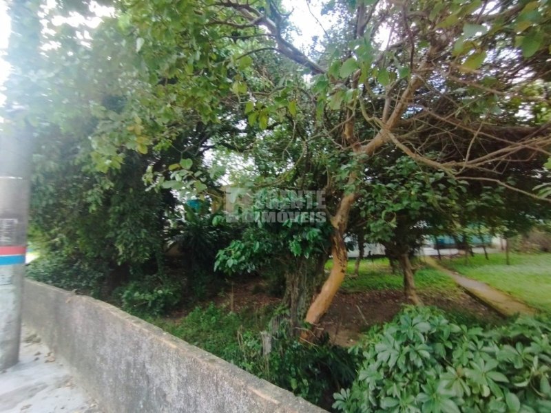Terreno no Córrego Grande em Florianópolis - Foto 7