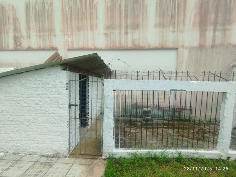 Casa 4 quartos no Córrego Grande em Florianópolis - Foto 31