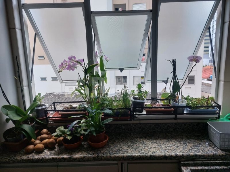 Apartamento 3 quartos no Trindade em Florianópolis - Foto 24