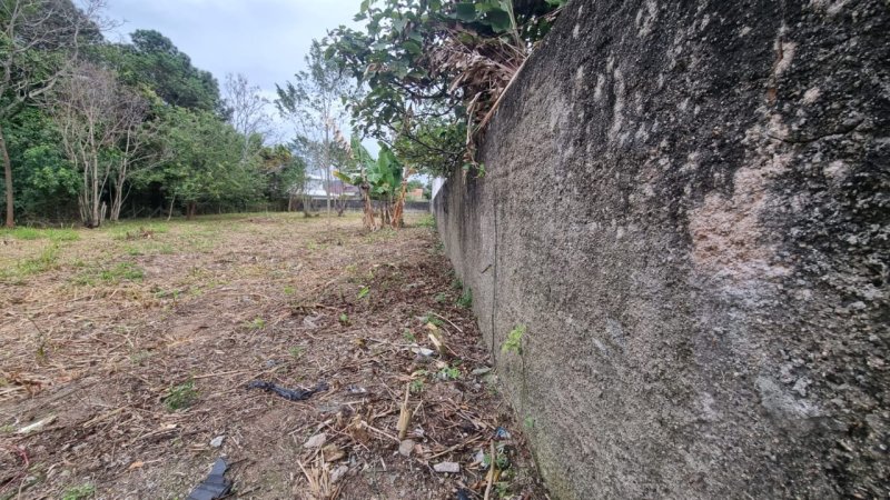 Terreno no Campeche em Florianópolis - Foto 2