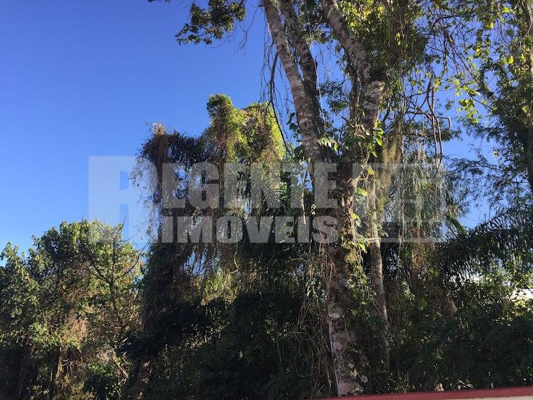 Casa em Condomínio 5 quartos no Monte Verde em Florianópolis - Foto 51