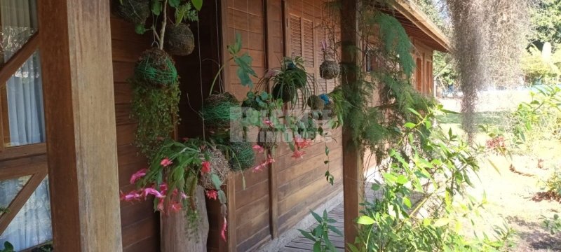 Sitio no Ratones em Florianópolis - Foto 18