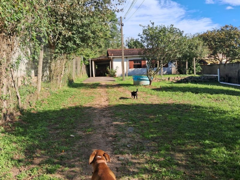 Terreno no Ratones em Florianópolis - Foto 3