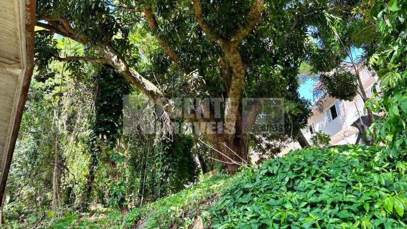 Terreno no Carvoeira em Florianópolis - Foto 19