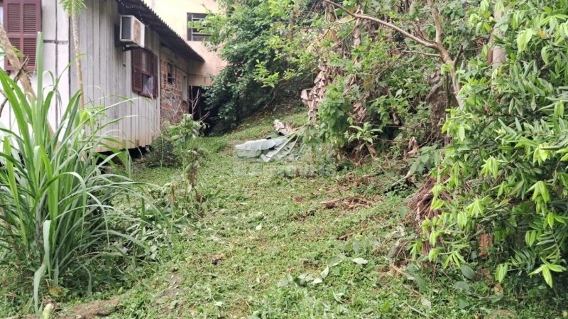 Casa no Córrego Grande em Florianópolis - Foto 4