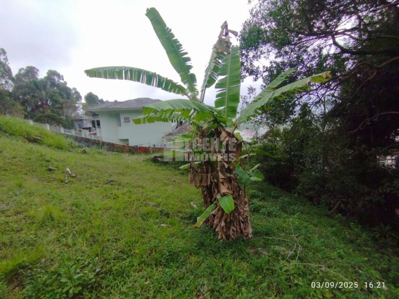 Terreno no Trindade em Florianópolis - Foto 7