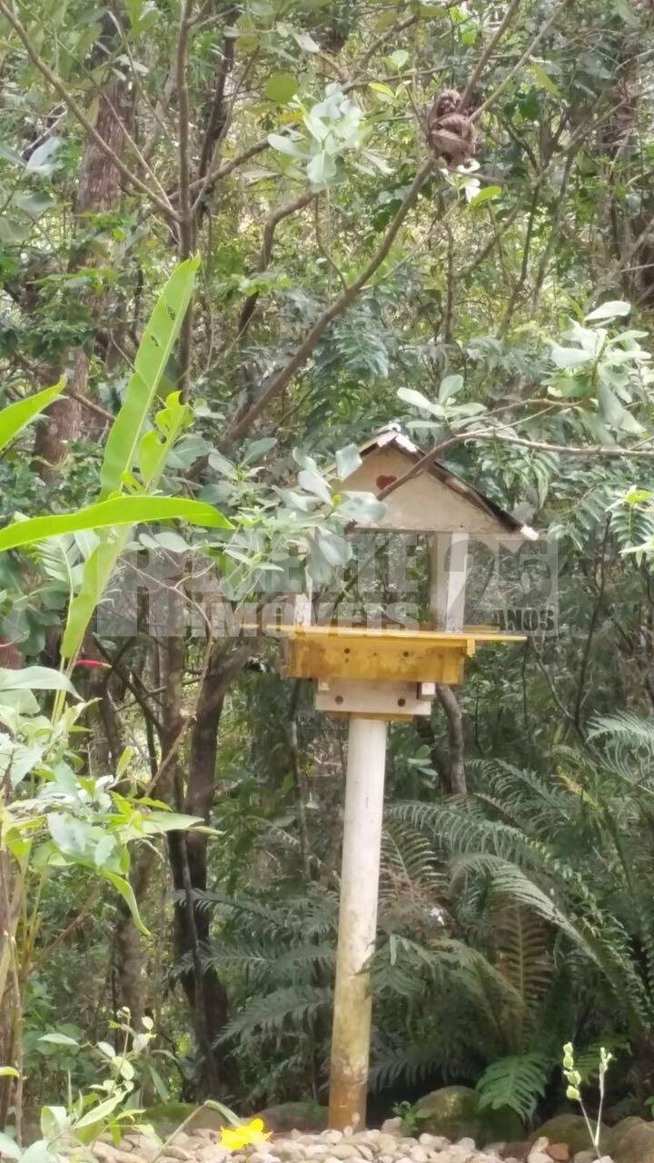 Terreno 2 quartos no Sambaqui em Florianópolis - Foto 30