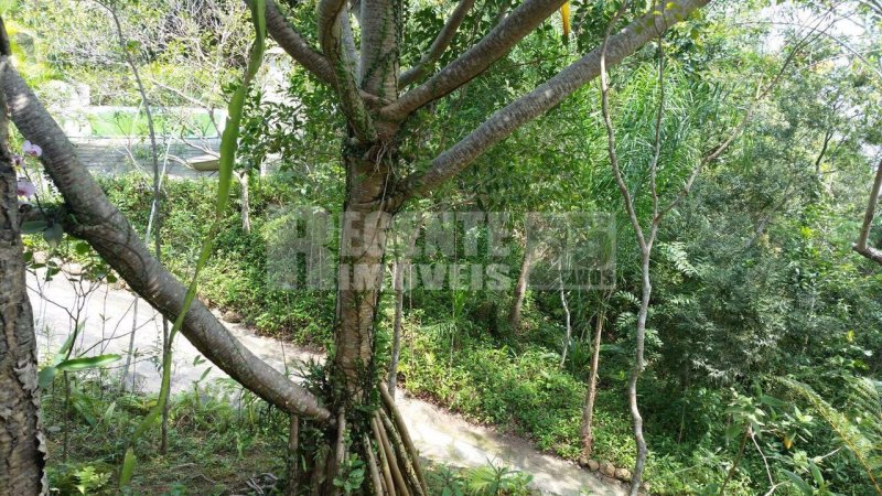 Terreno 2 quartos no Sambaqui em Florianópolis - Foto 33