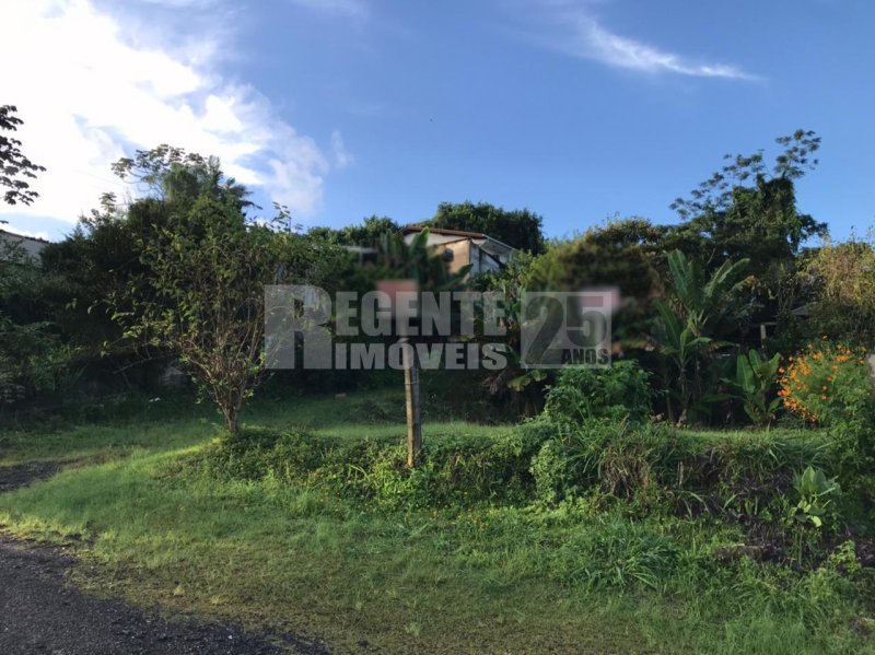 Terreno no João Paulo em Florianópolis - Foto 4