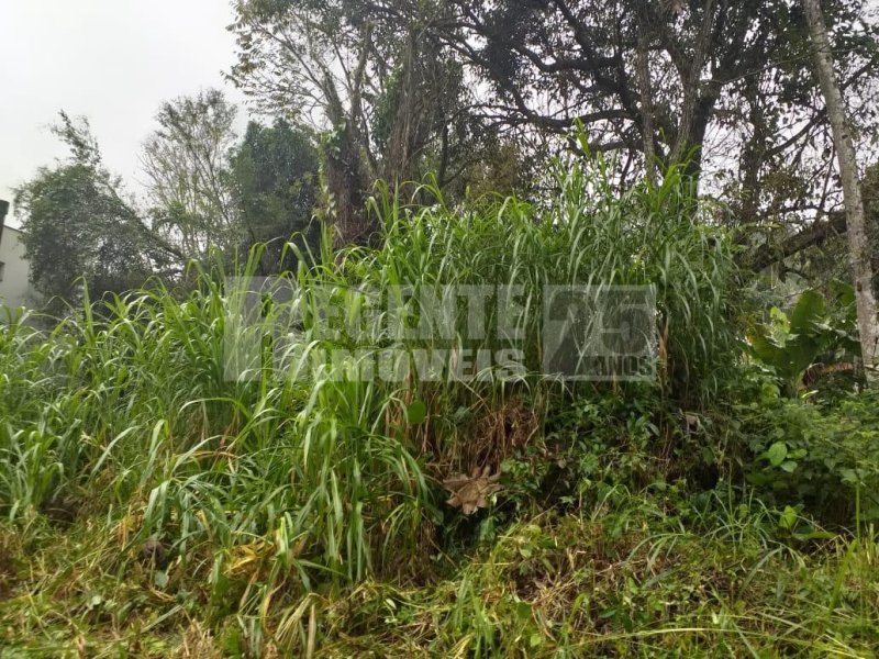 Terreno no Pantanal em Florianópolis - Foto 9