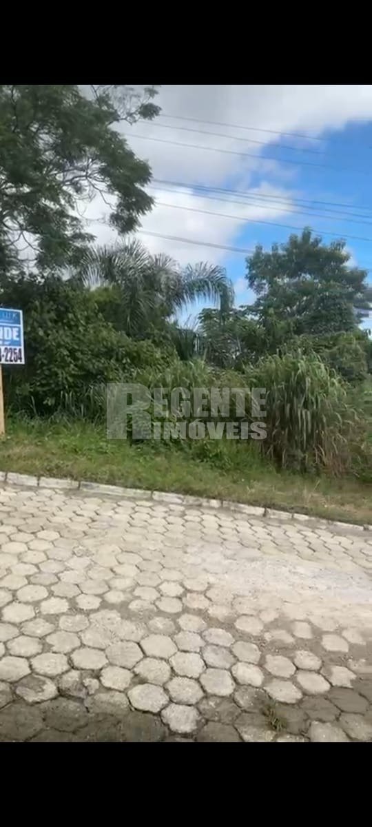 Terreno no Córrego Grande em Florianópolis - Foto 5