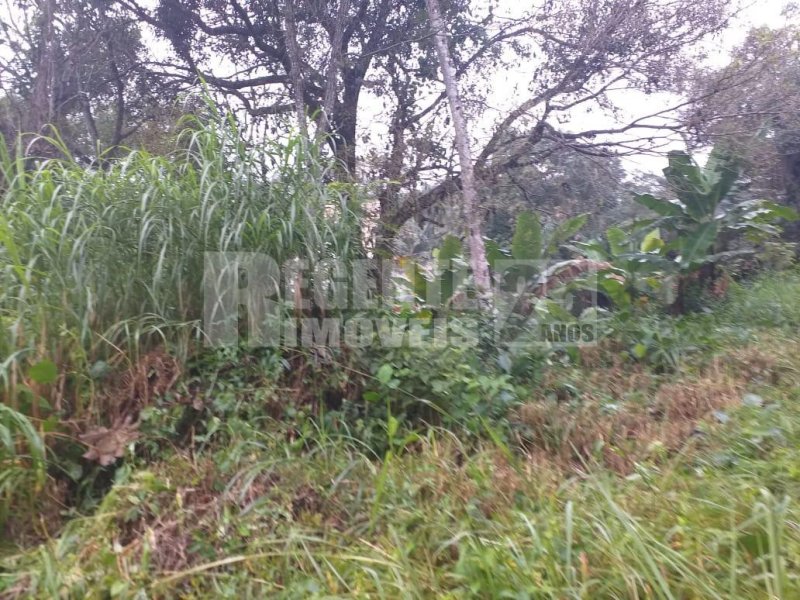 Terreno no Pantanal em Florianópolis - Foto 4