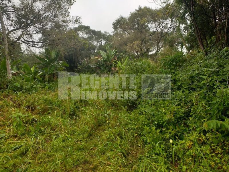 Terreno no Pantanal em Florianópolis - Foto 10