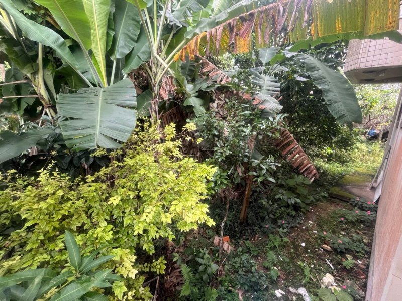 Casa 4 quartos no Carvoeira em Florianópolis - Foto 46