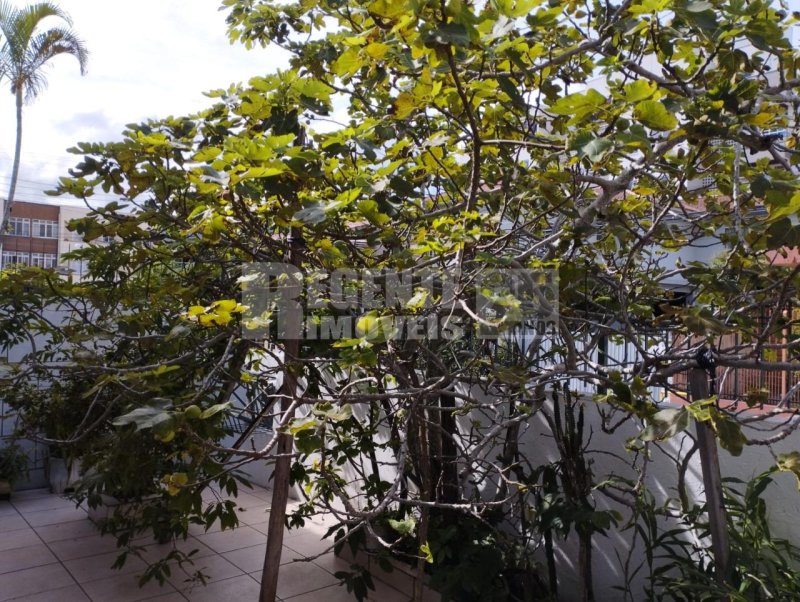 Casa 3 quartos no Trindade em Florianópolis - Foto 39