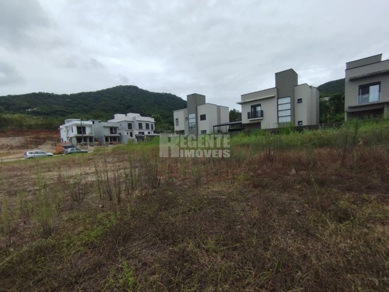 Terreno no Saco Grande em Florianópolis - Foto 5