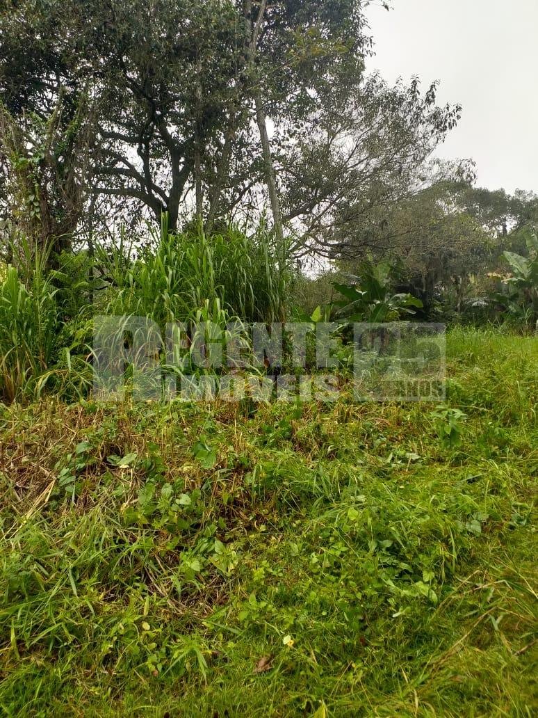 Terreno no Pantanal em Florianópolis - Foto 2