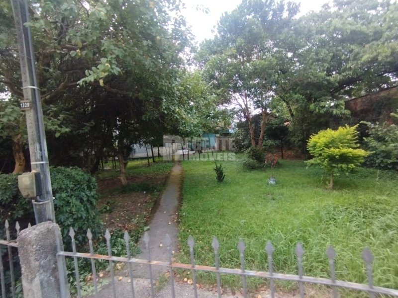 Terreno no Córrego Grande em Florianópolis - Foto 2