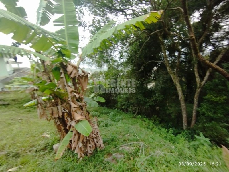 Terreno no Trindade em Florianópolis - Foto 12