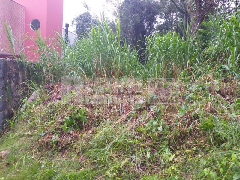 Terreno no Pantanal em Florianópolis - Foto 7