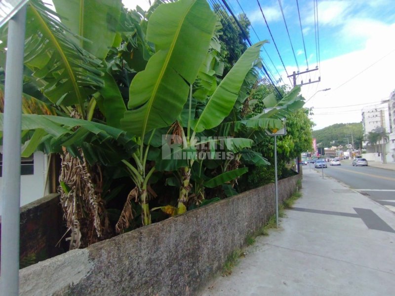 Terreno no Córrego Grande em Florianópolis - Foto 6