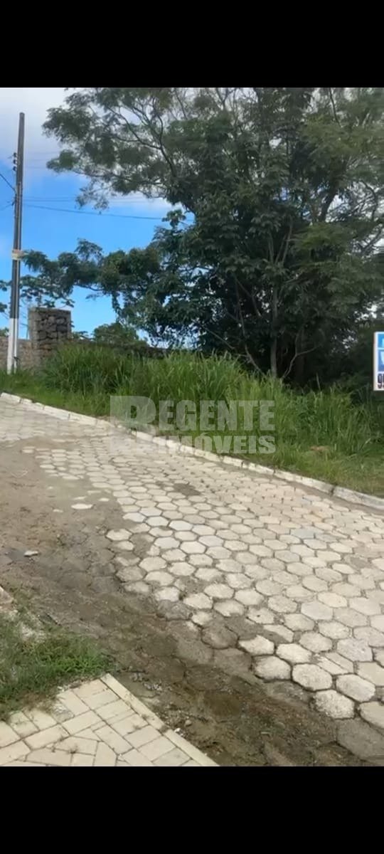 Terreno no Córrego Grande em Florianópolis - Foto 3
