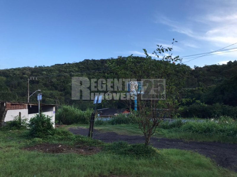 Terreno no João Paulo em Florianópolis - Foto 3