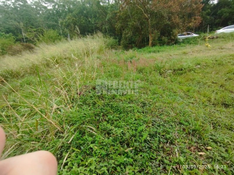Terreno no Trindade em Florianópolis - Foto 13