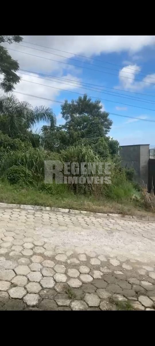 Terreno no Córrego Grande em Florianópolis - Foto 4